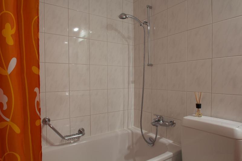 One Bedroom Apartment image 4