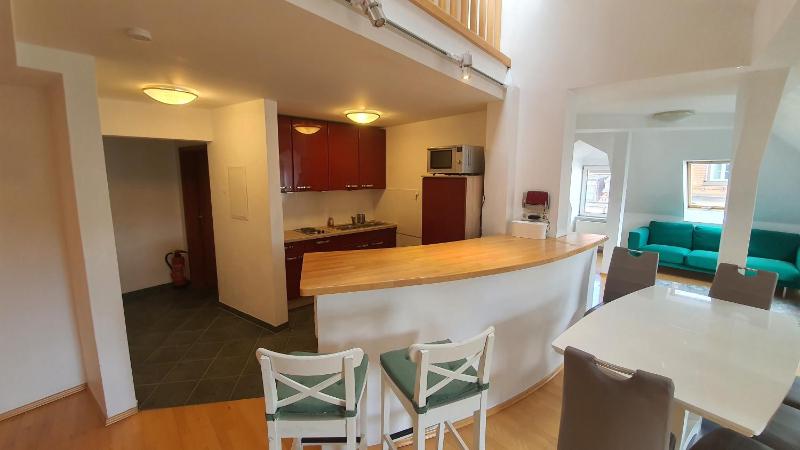 Studio Apartment image 4