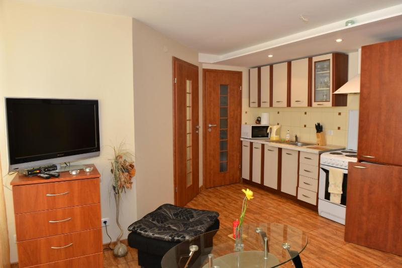Kristinos Apartamentai - Vytauto - image 7