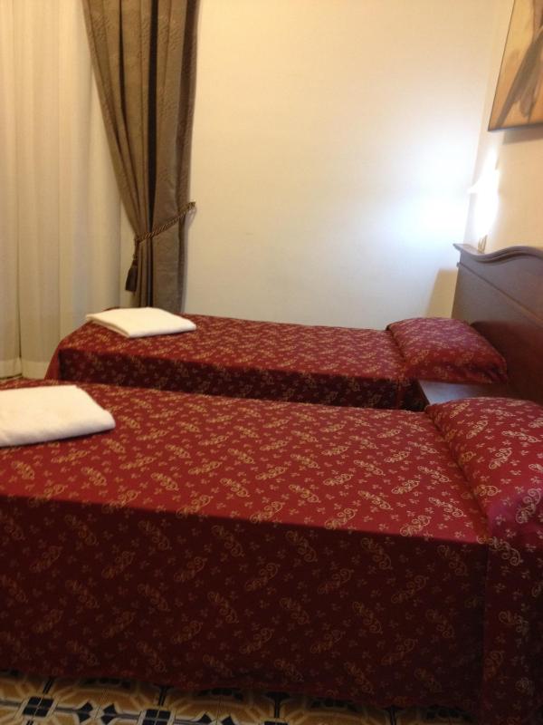 Double or Twin Room image 4