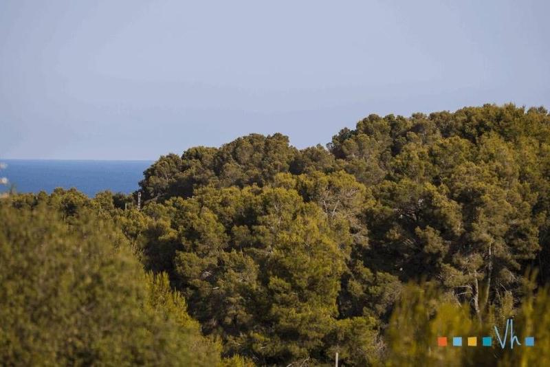 VH CostaBlanca - POLEN - image 35