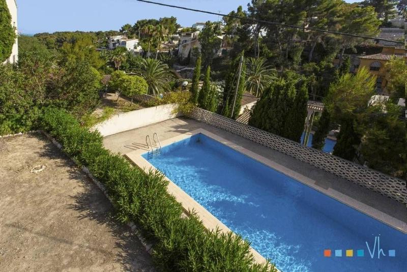 VH CostaBlanca - POLEN - image 27