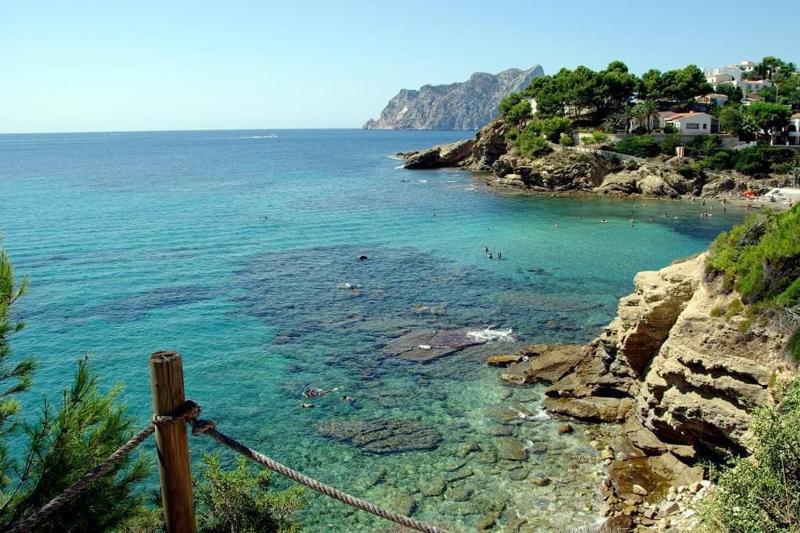 VH CostaBlanca - POLEN - image 4
