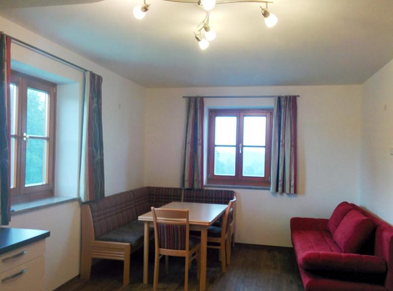 One-Bedroom Apartment image 2