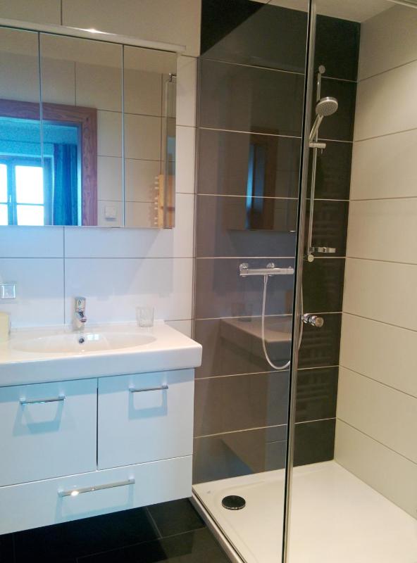 One-Bedroom Apartment image 4
