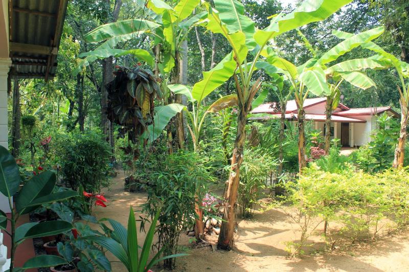 Suba Home Stay - image 7