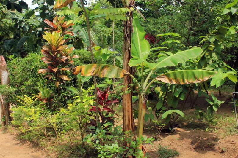 Suba Home Stay - image 2