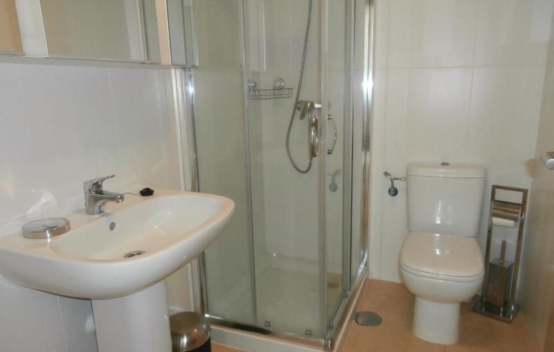 Two-Bedroom Apartment image 3