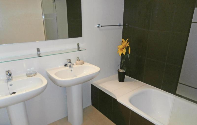 Two-Bedroom Apartment image 4