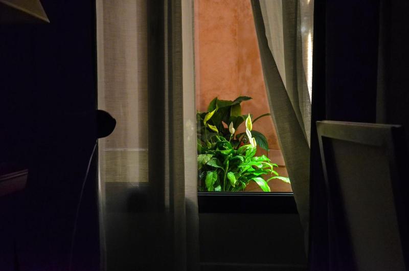 Deluxe One-Bedroom Apartment - Ground Floor image 4