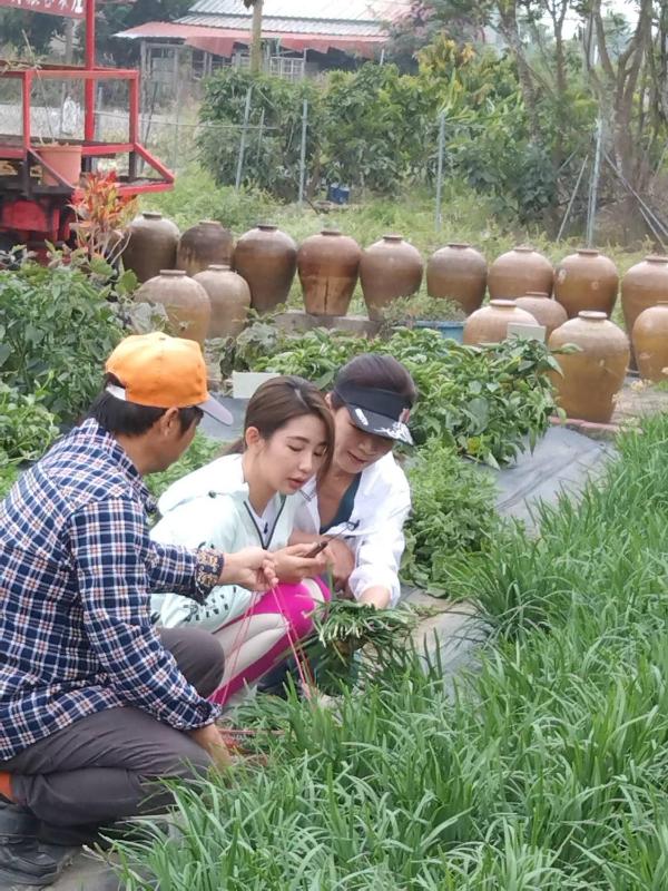 Meinong Hakka Village Homestay - image 16