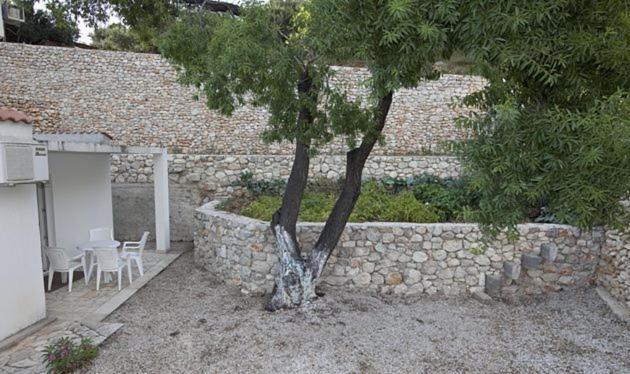 House Zorra - image 49