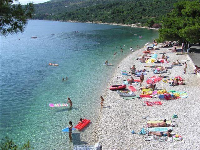 House Zorra - image 21