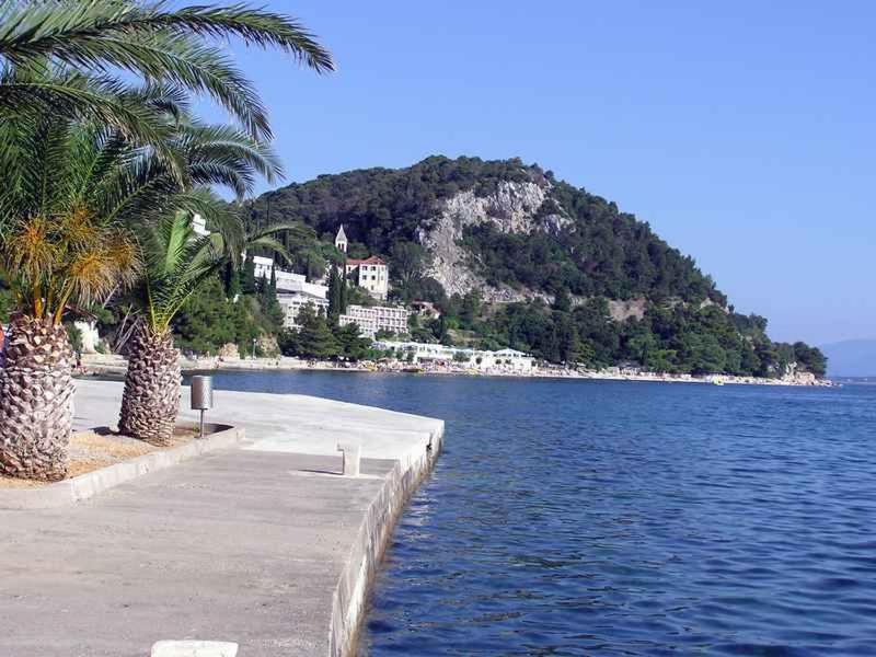 House Zorra - image 11