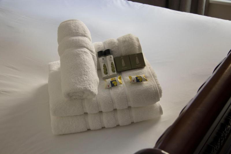 Twin Room with Bathroom image 2