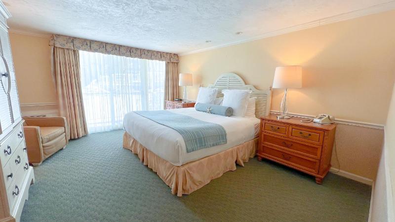 Standard Single Room image 1