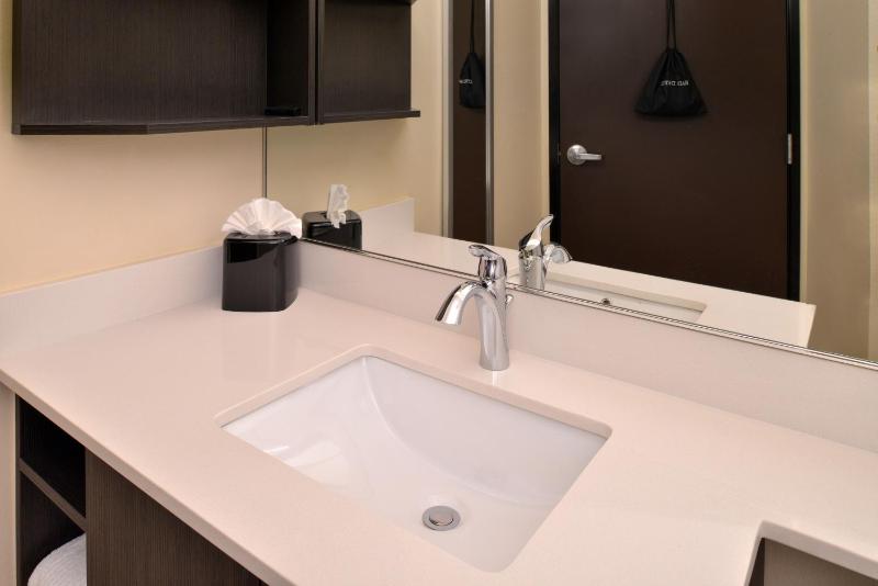 King Studio Suite image 4