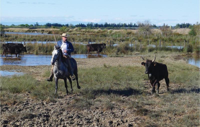 Seven-Bedroom Holiday Home image 3