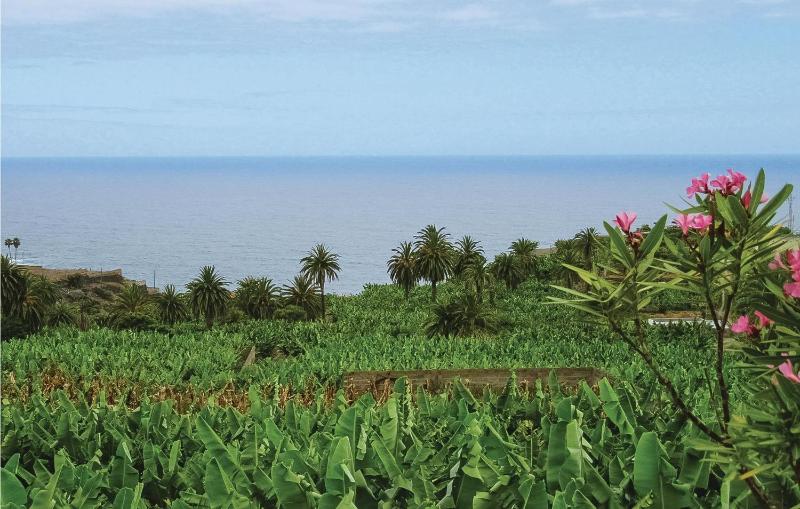 One-Bedroom Holiday Home image 2