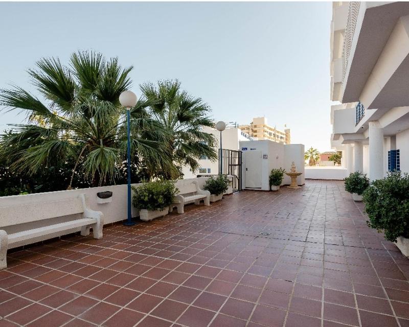 Benalmadenapartments BBQ Penthouse Patos Club - image 2