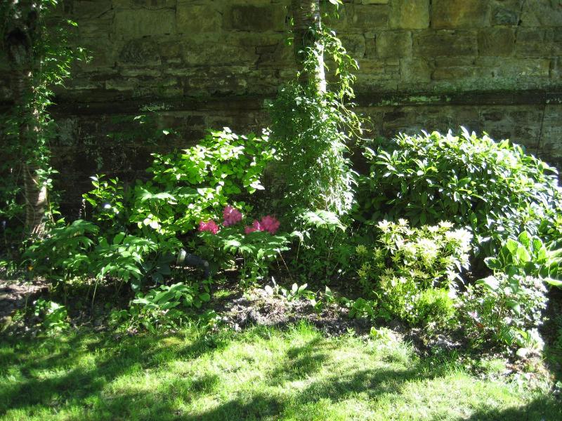 The Coach House image 4