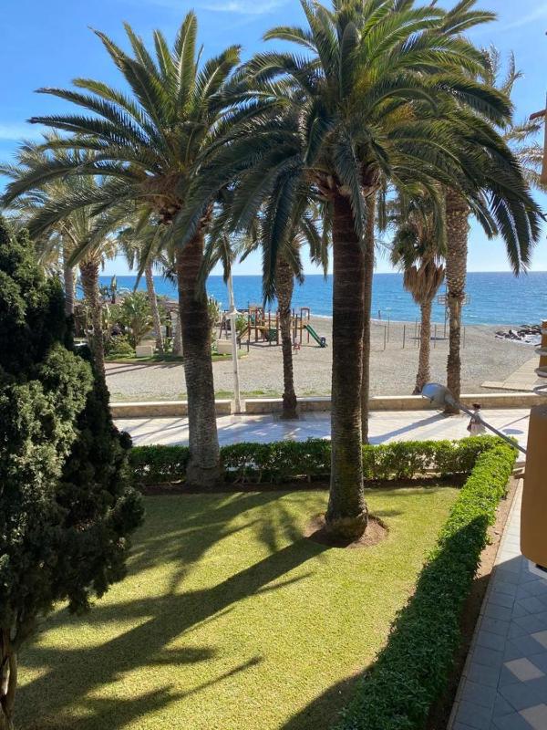 Las Palmeras Images