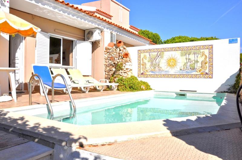 Stylish and well-equipped private pool close to amenities free AC and Wifi - image 19