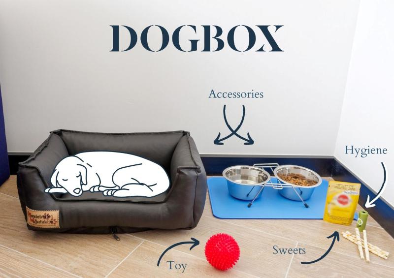 Standard Twin Room image 1