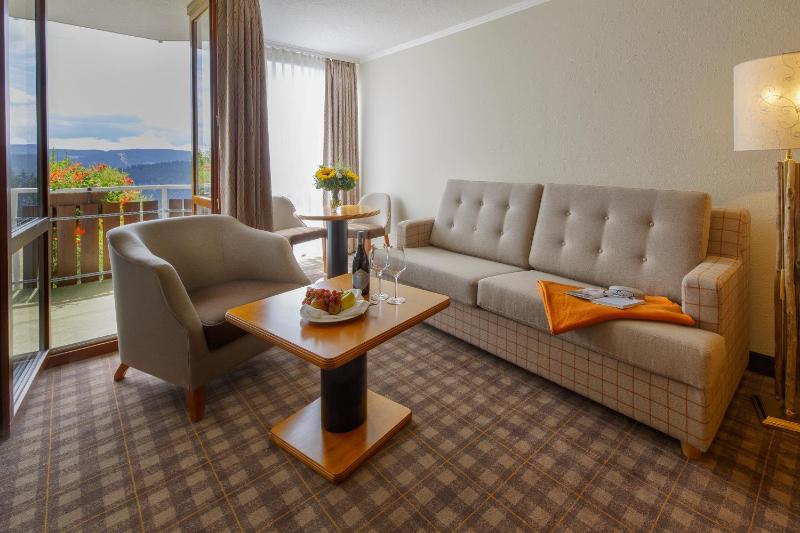 Superior Double Room with Panorama View image 3