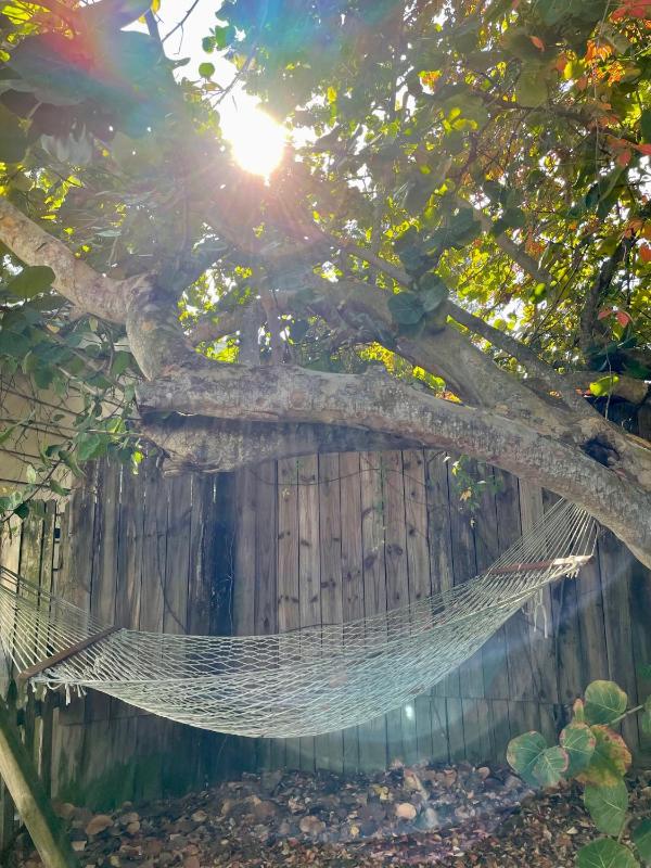 Rainforest One-Bedroom Cottage image 3