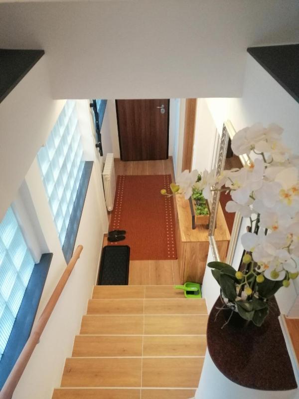 Twin Room image 4