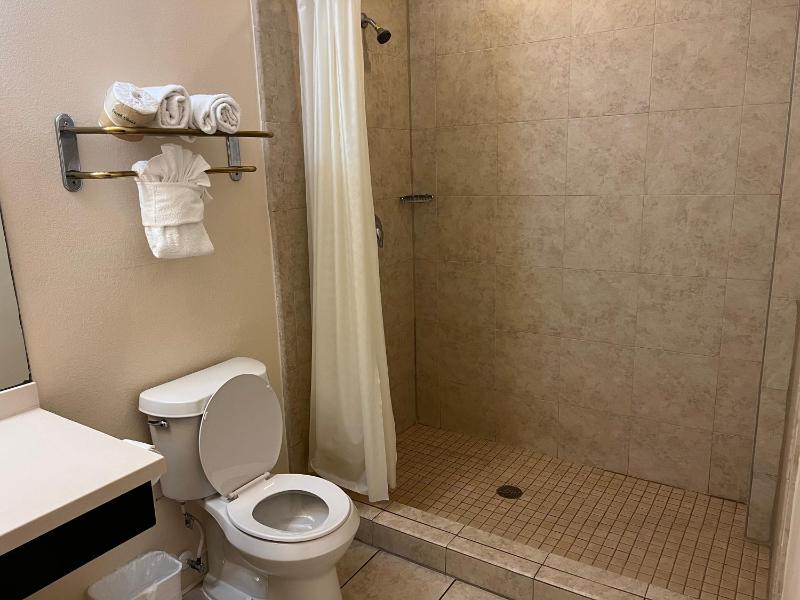 King Suite with Sofa Bed image 2
