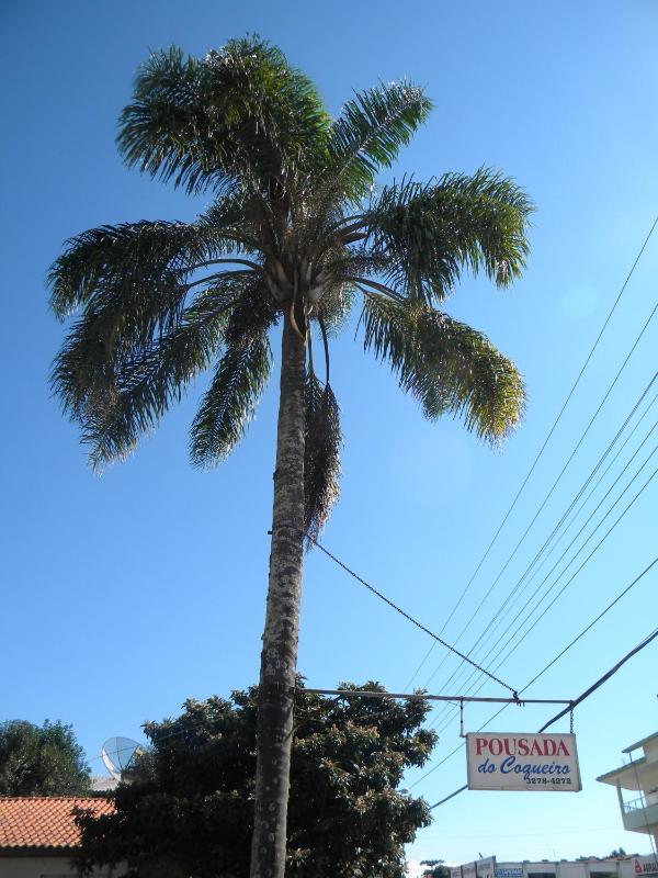 Pousada do Coqueiro - image 25
