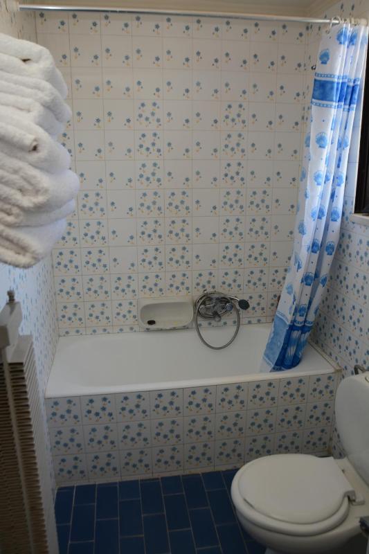 One-Bedroom Apartment image 2