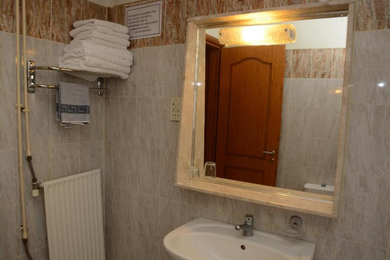 Superior One-Bedroom Apartment image 4