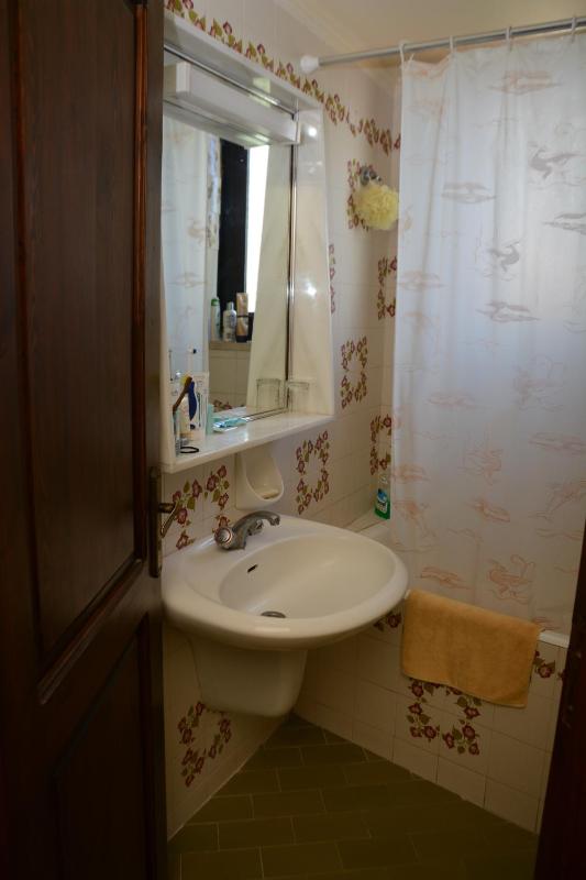 One-Bedroom Apartment image 4