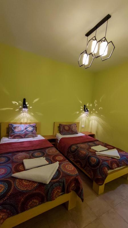 Shams Hotel & Dive Centre - image 22