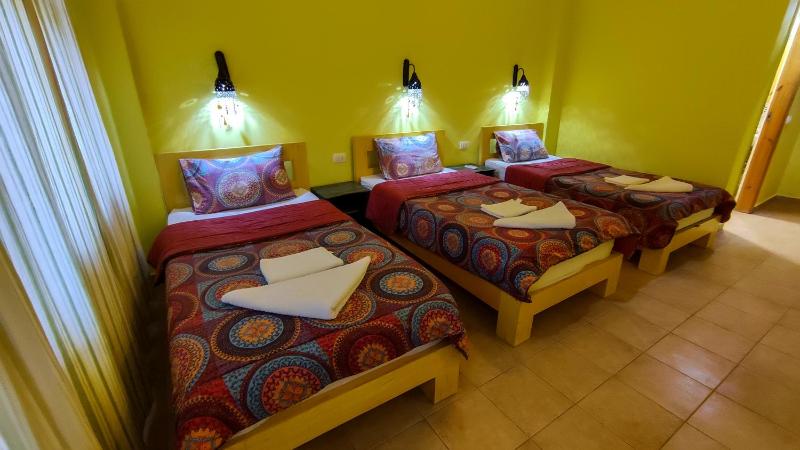 Shams Hotel & Dive Centre - image 7