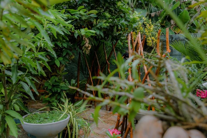 Ruwan Jungle Homestay - image 9