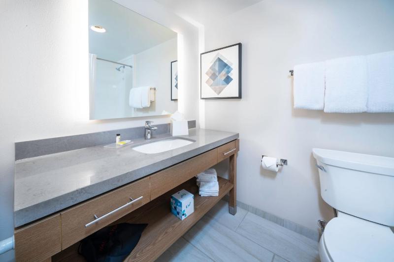 King Studio Suite image 3
