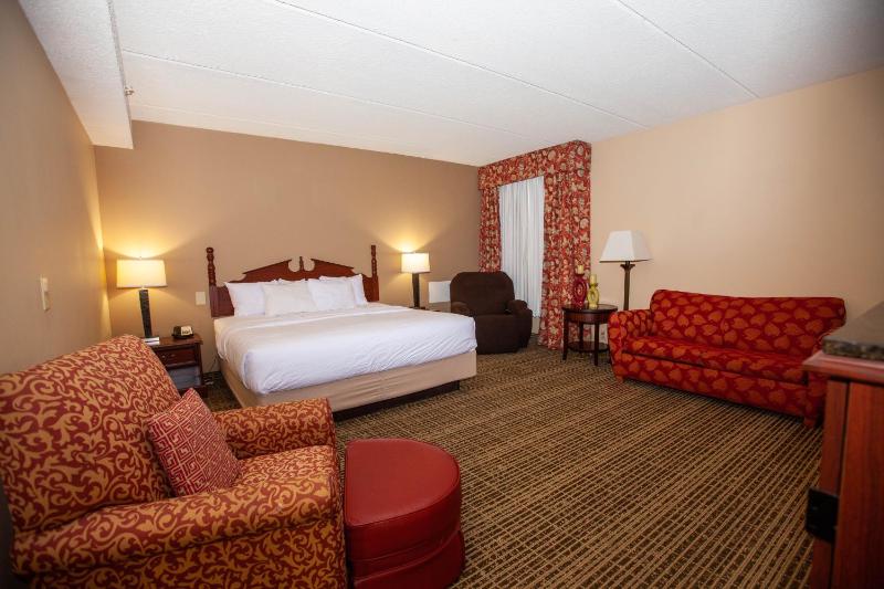 Deluxe King Apartment Suite - Non-Smoking