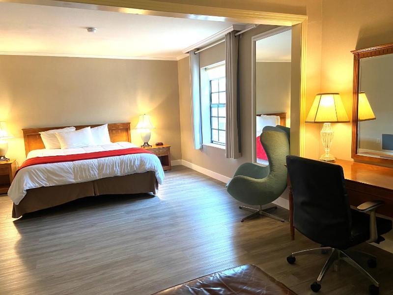 One-Bedroom King Suite - Non-Smoking image 3