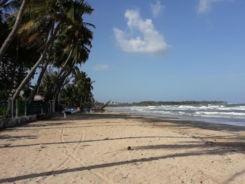 Dive beach palace - image 14