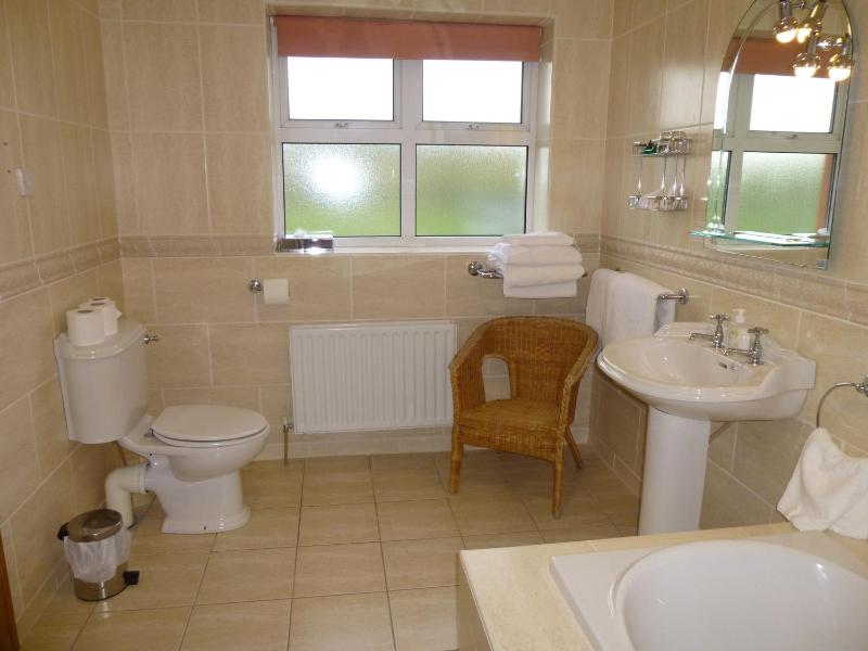 Family Room with Bathroom image 4