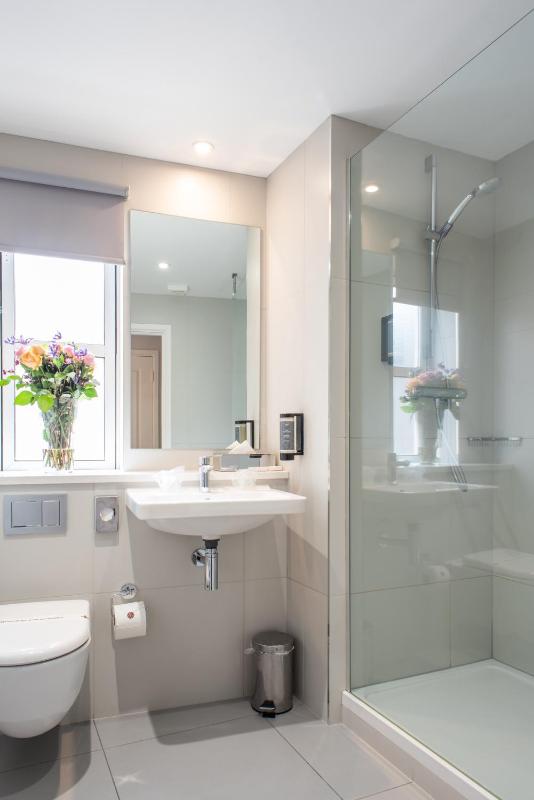Two-Bedroom Apartment image 4