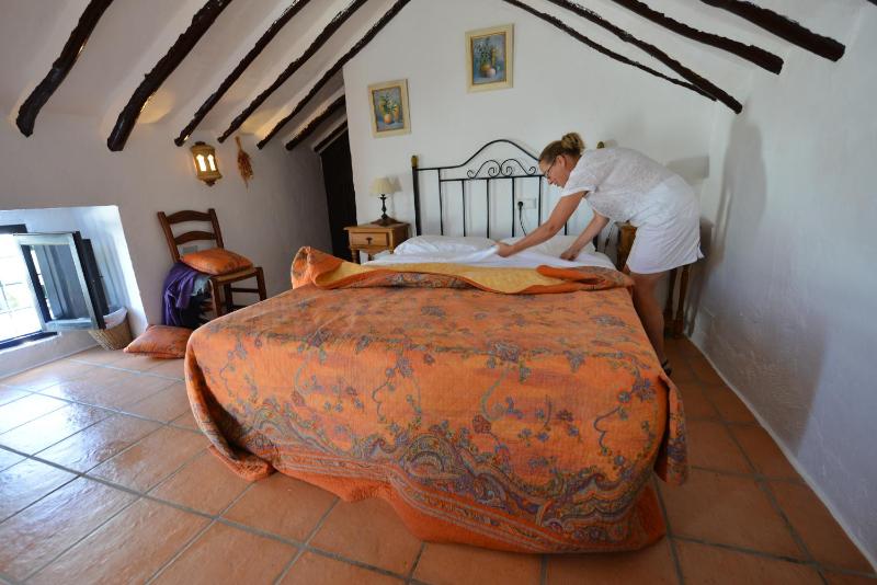 Standard Single Room image 4