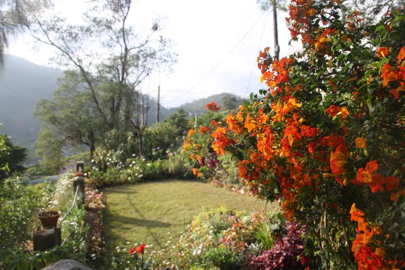 Bezel Bungalow Nuwara Eliya - image 21