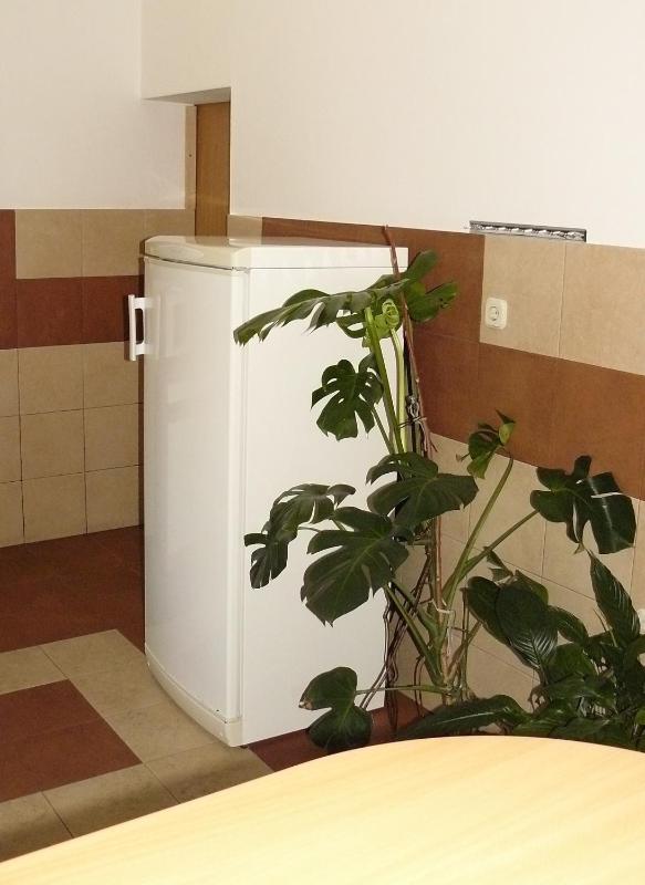 Luxury Two-Bedroom Apartment image 4