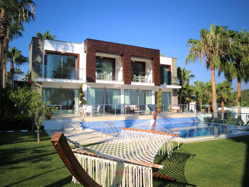 Maestro Villa image 1