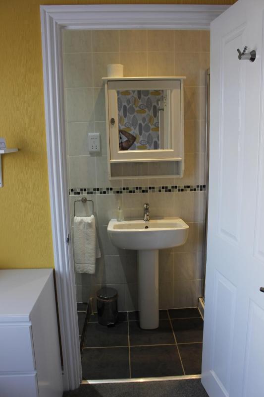 Single Room image 3